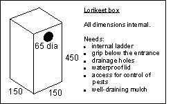 lorikeet box.gif (1948 bytes)